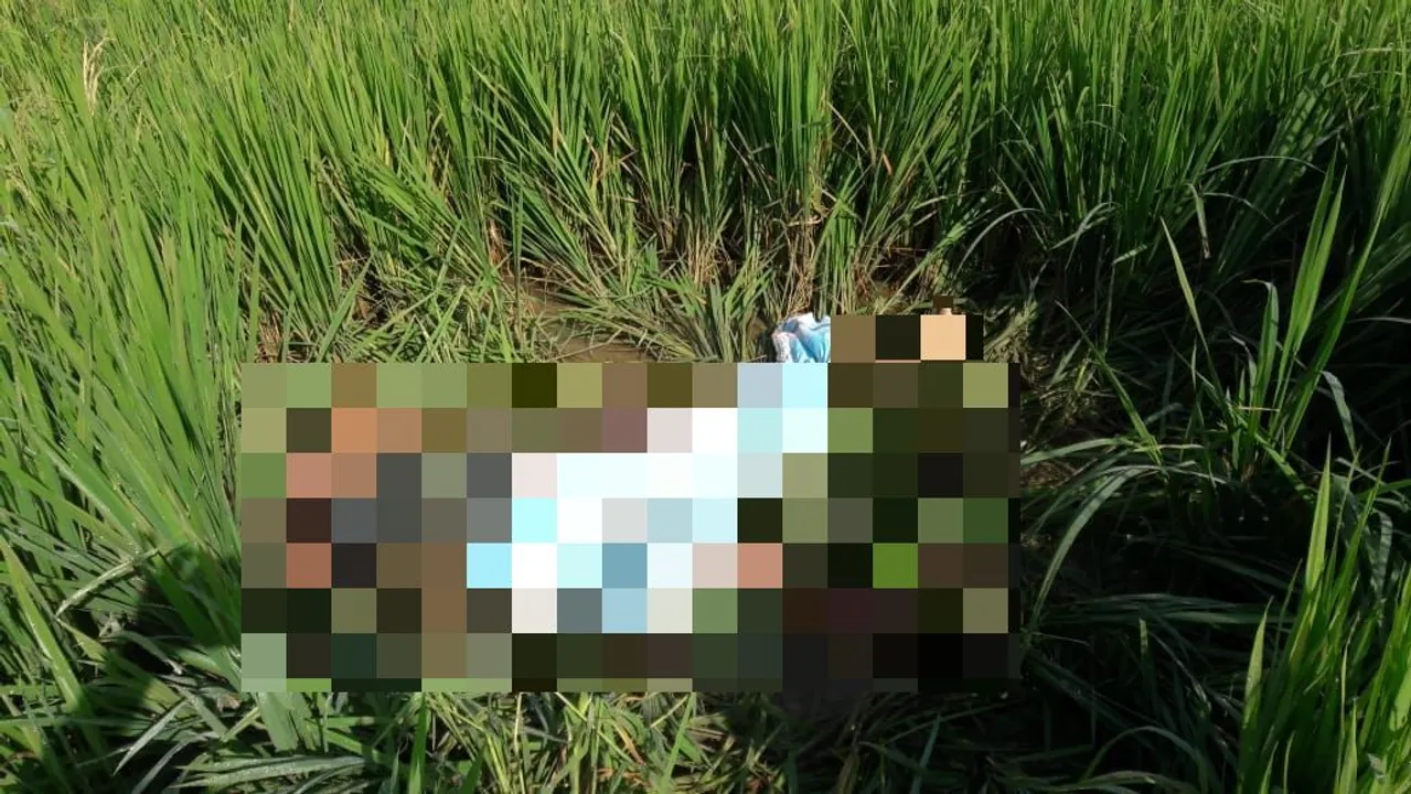  Woman found dead in naked state at paddy field in Odisha, rape suspected