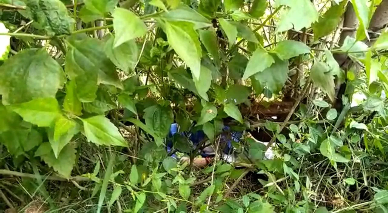  Girl's body found half naked with throat slit in Khordha