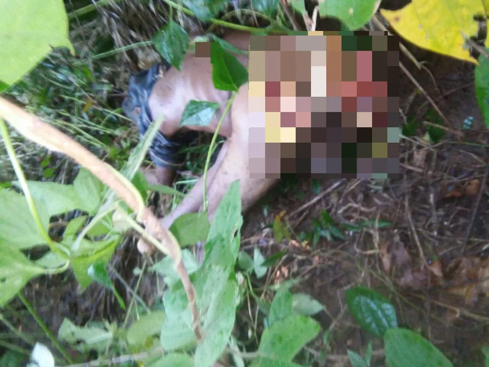  'Sundari' tigress mauls man to death in Odisha!