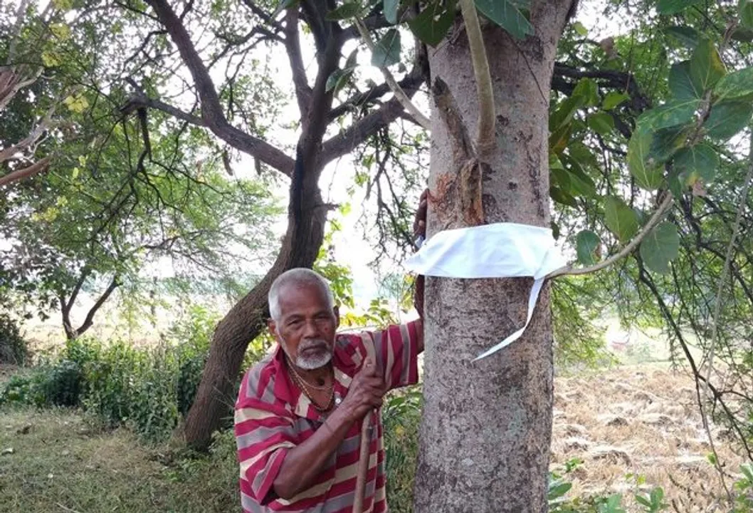  Love for Nature: 90-yr-old Odisha man finds unique way to celebrate Prathamastami