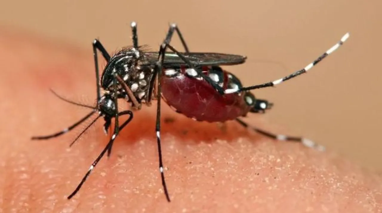  Odisha role model in India for fight against malaria: WHO