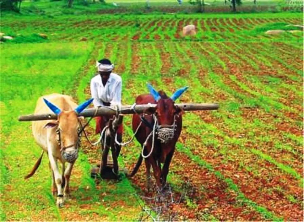  Odisha to recover KALIA money from ineligible beneficiaries