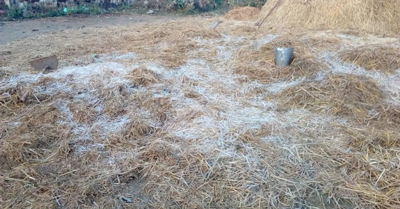  Odisha shivers: Daringbadi freezes at 3 deg C, snowfall in several places