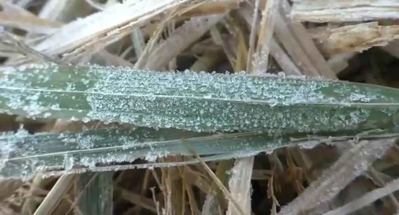  Snowfall continues in Kandhamal, mercury likely to dip further in Odisha