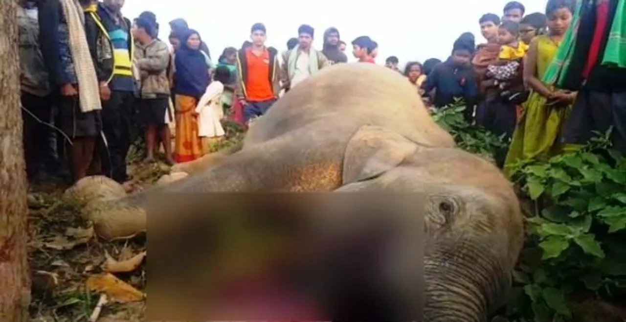  Athagarh jumbo death: One more accused arrested  