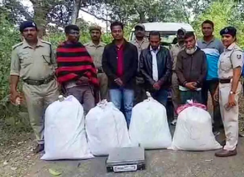  Odisha: Ganja worth Rs 16 lakh seized; 4 arrested  