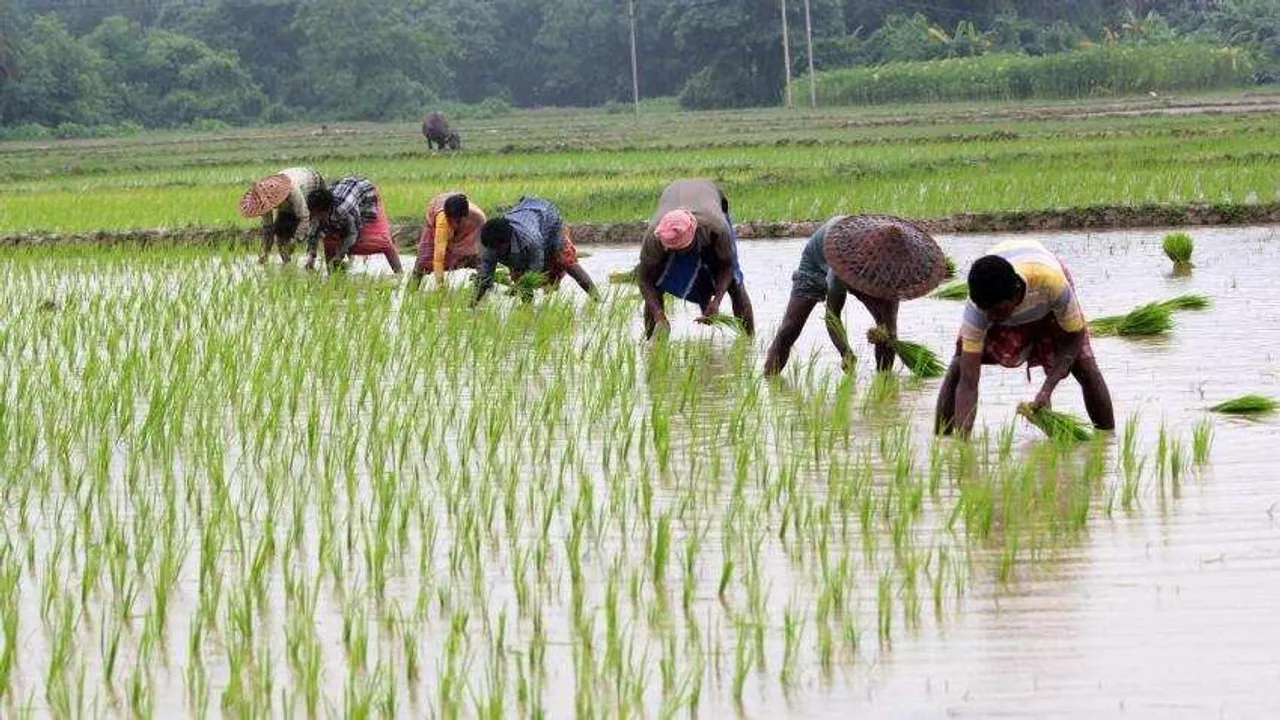  Centre writes to Odisha for implementation of PM-KISAN scheme
