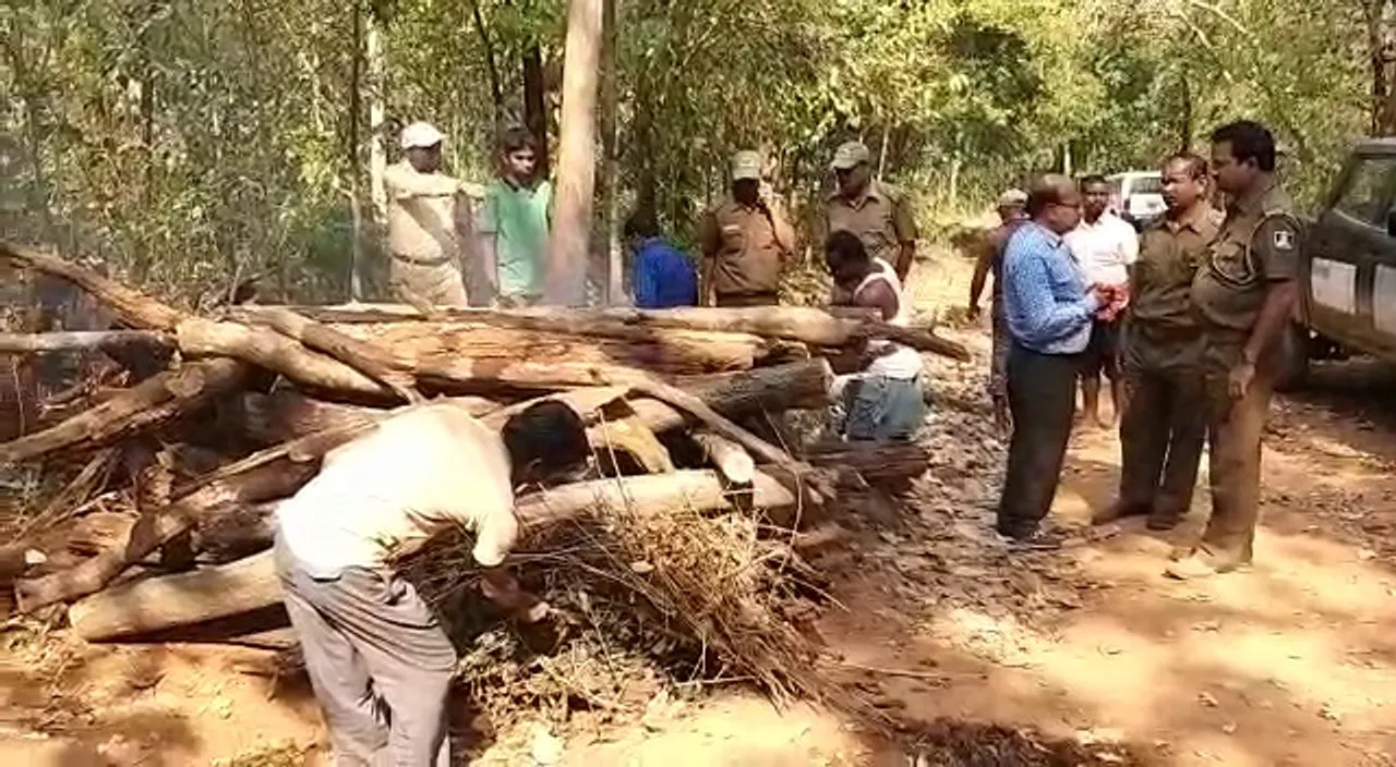  Five-yr-old elephant found dead in Odisha's Mayurbhanj