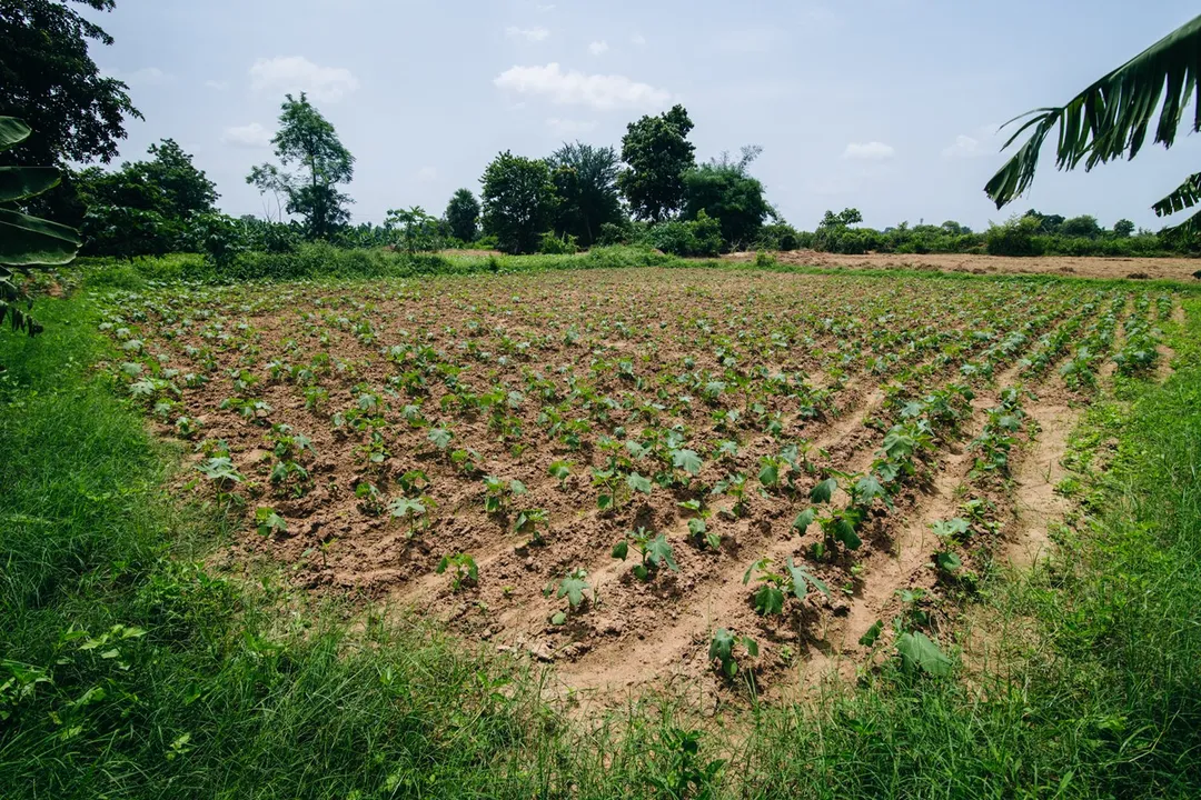  PM Kisan scheme to cover 2 crore more farmers