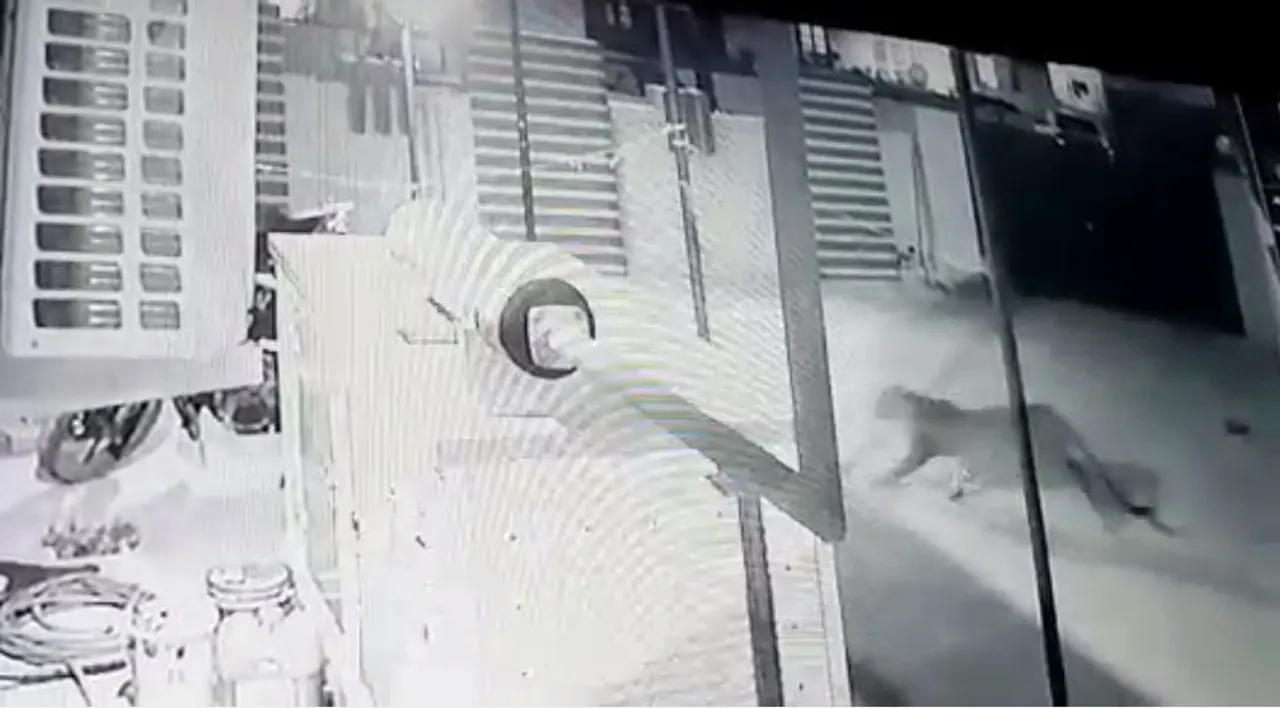  Leopard sighted near airport in Odisha capital, locals panicked