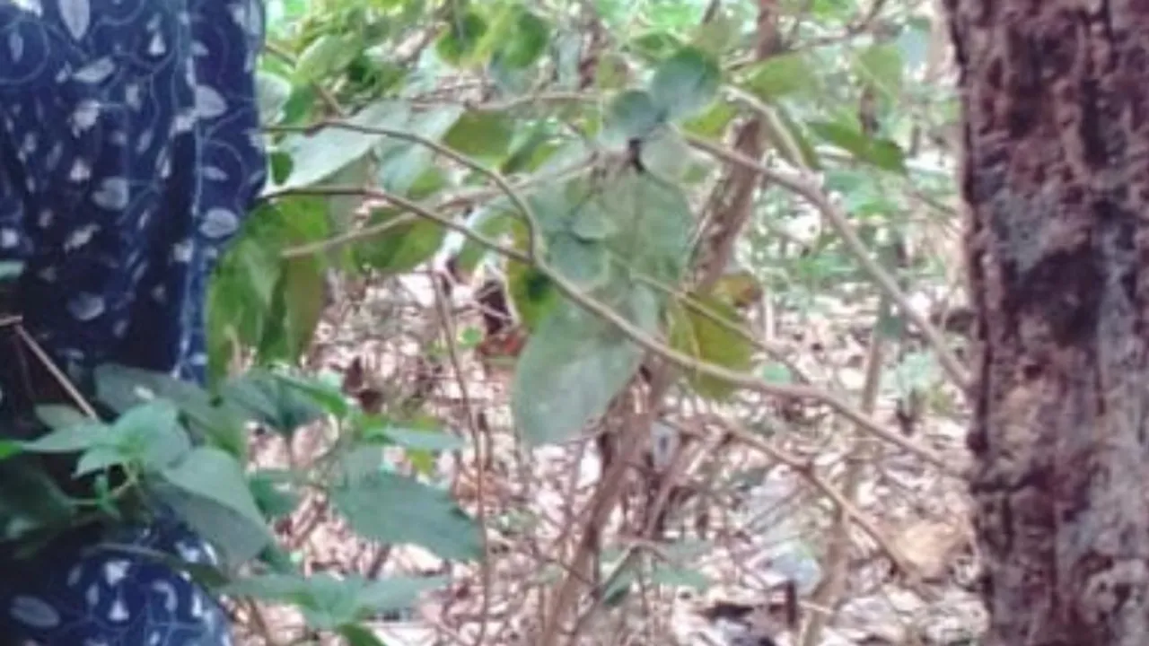  Odisha youth found hanging on hospital premises