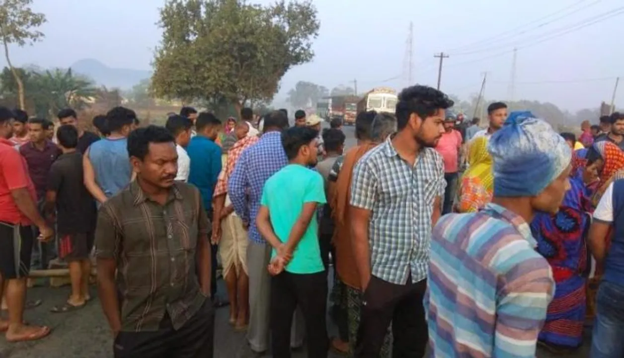  7-yr-old boy among 3 killed in separate elephant attacks in Odisha