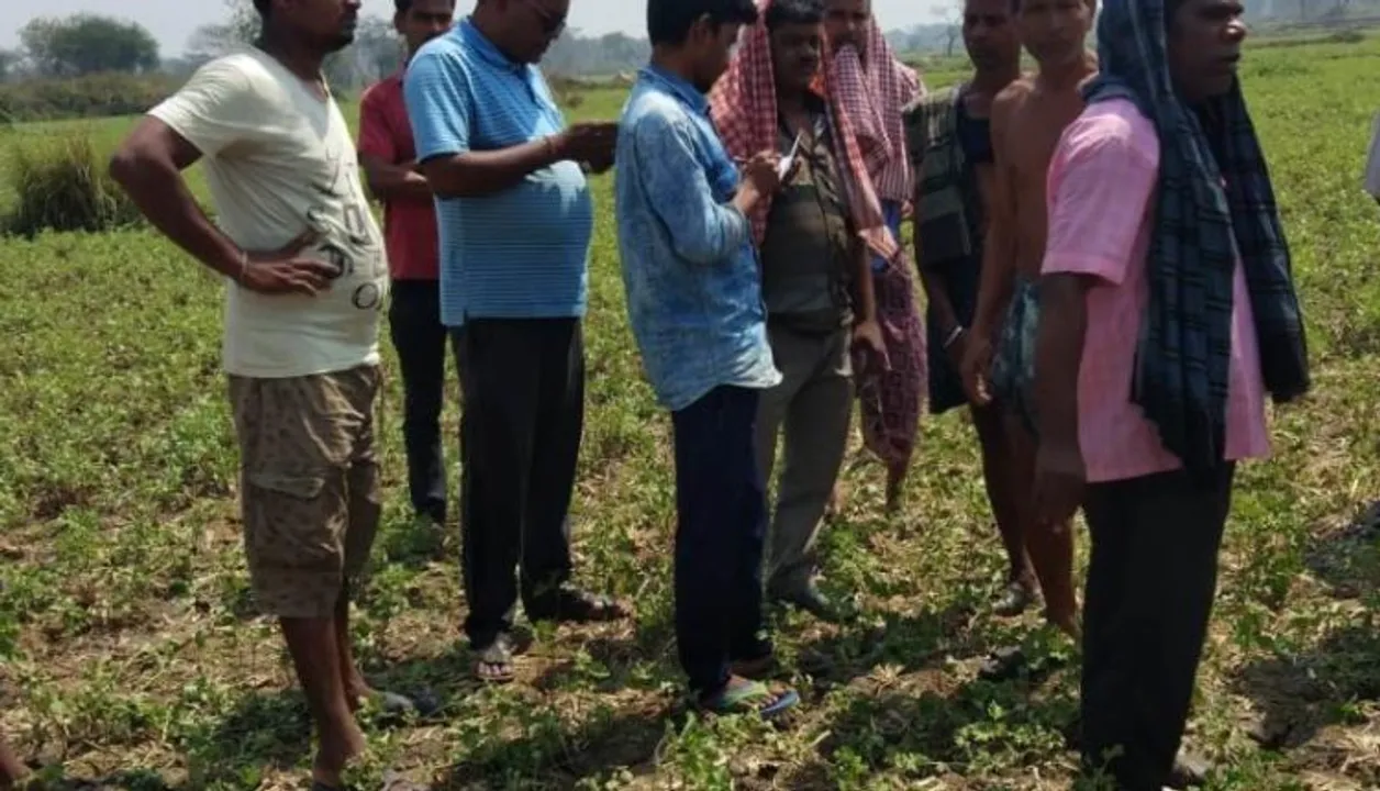  Tusker tramples elderly man to death in Odisha's Dhenkanal