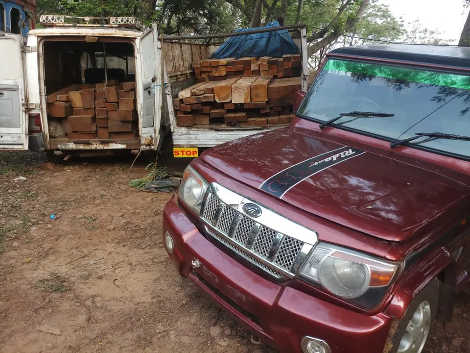  Timber smuggling racket busted in Odisha; 3 Sal wood-laden vehicles seized