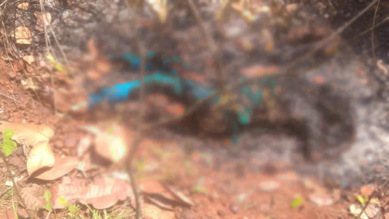  Half-charred body of woman recovered in Odisha; Rape suspected