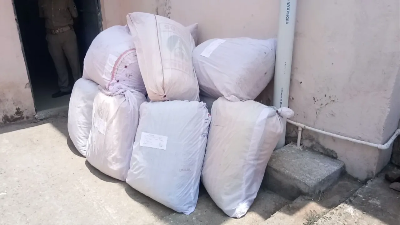  375 kg ganja seized in Odisha; one arrested