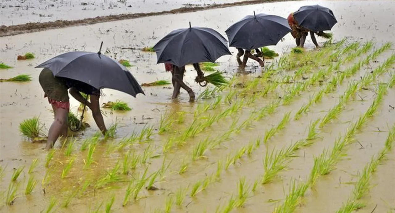 IMD predicts near-normal monsoon this year