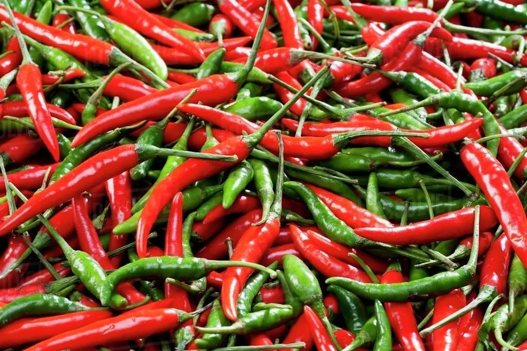  Chilli consumption slows lung cancer progression: Study