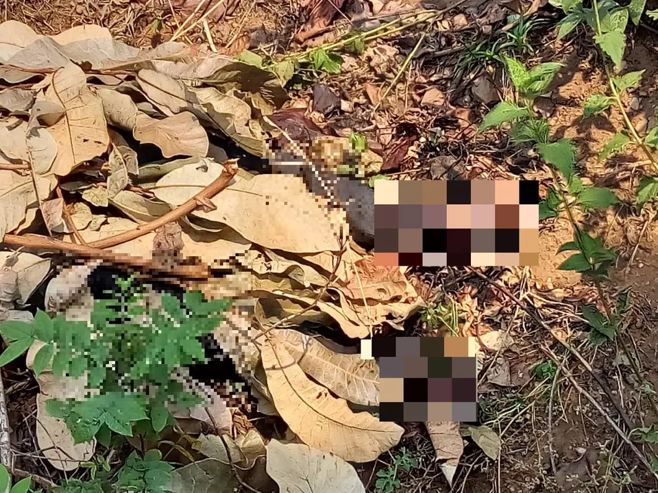  Congress worker found dead in Odisha forest, murder suspected