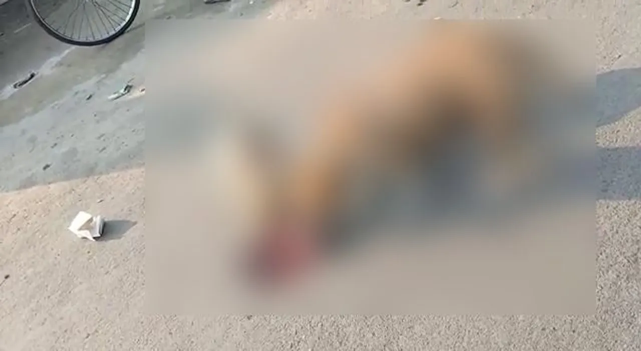  Stray dogs feed on stillborn baby outside Odisha hospital