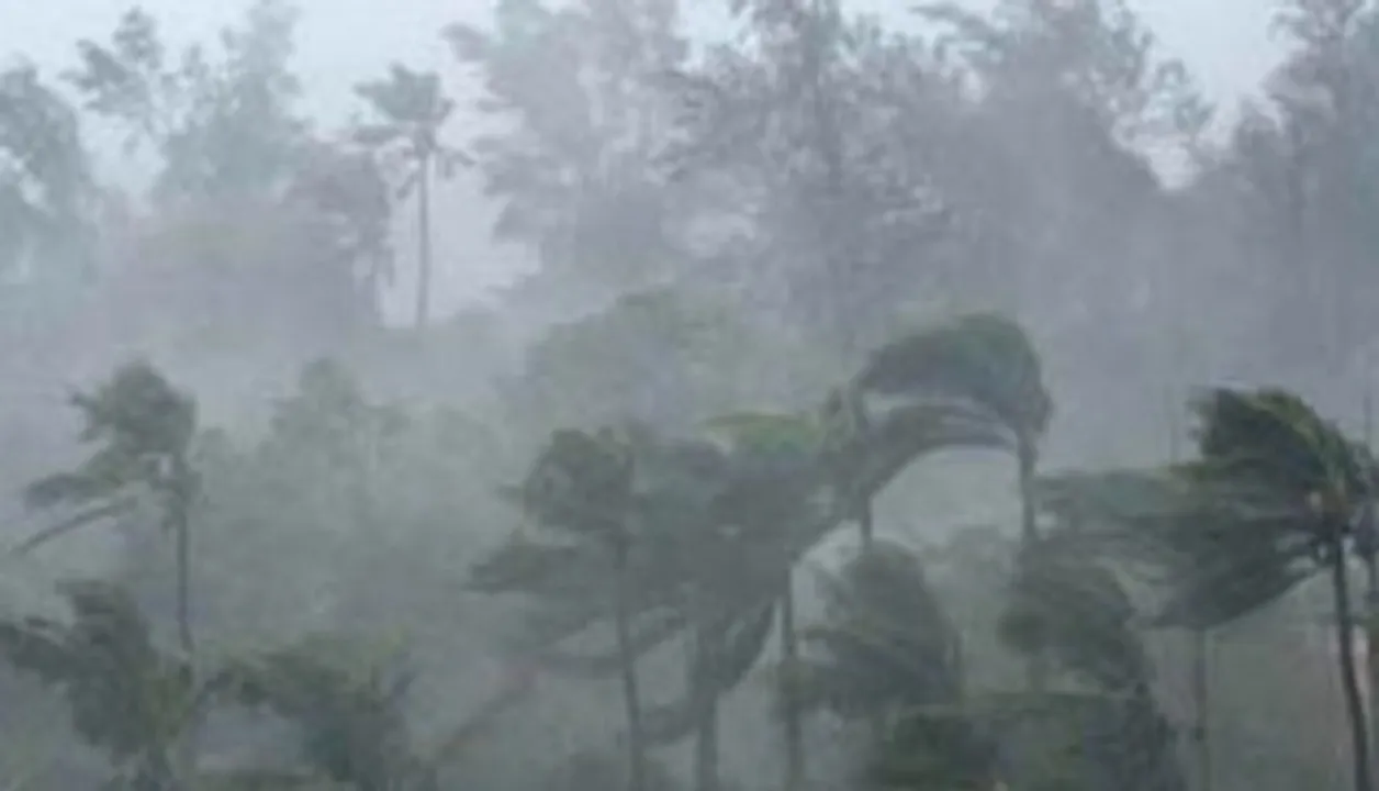  Odisha weather alert: Thunderstorm and gusty wind likely in 7 districts