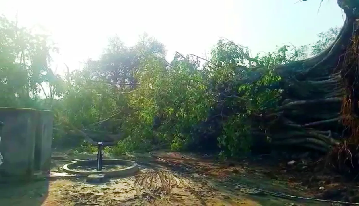  Nor'wester rain claims lives of woman, daughter in Odisha