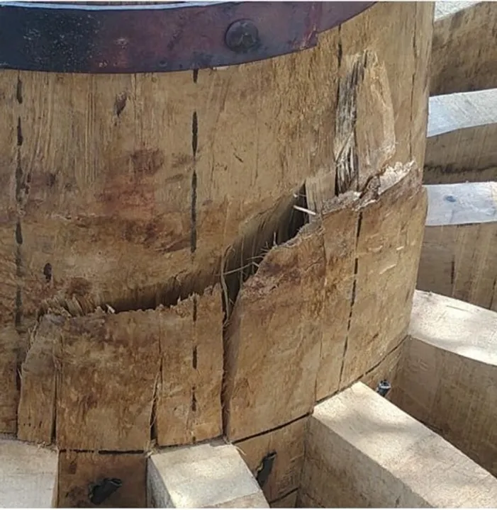  Odisha: Devi Subhadra's chariot wheel develops cracks