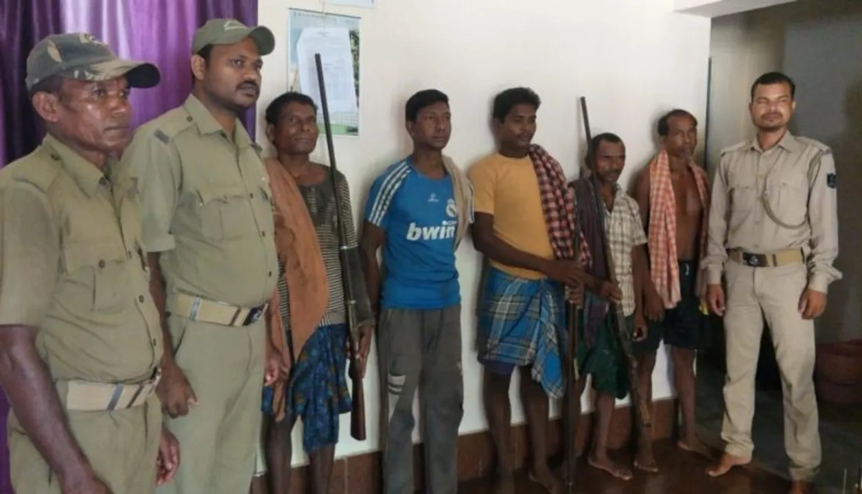  Five poachers held in Odisha; 10 kg deer meat, 2 guns seized  