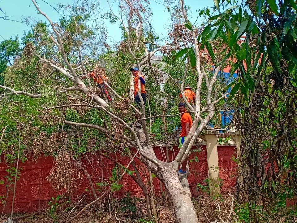  Cyclone Fani: 6,498 schools damaged in Odisha