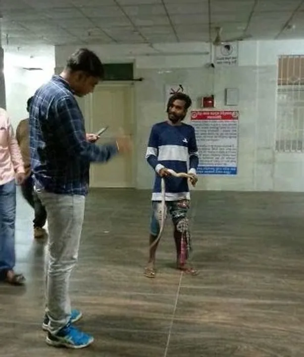  Snakebite victim reaches hospital with serpent in Odisha