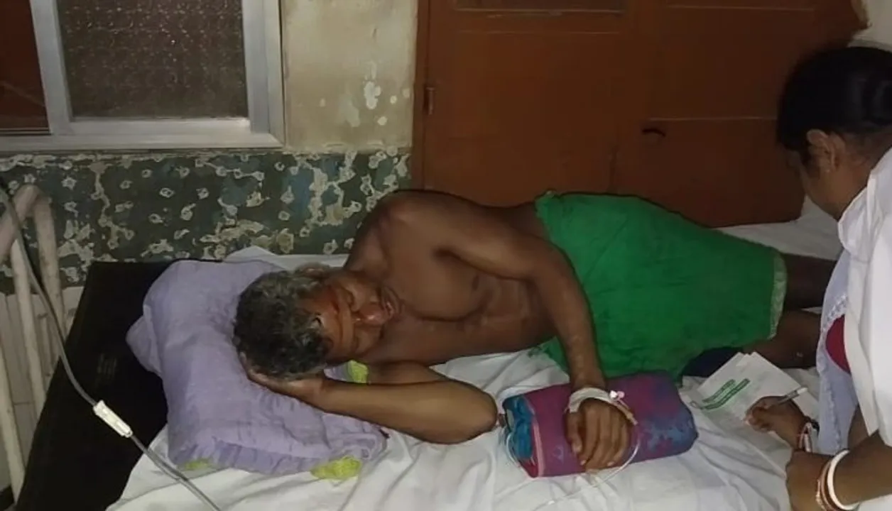  Six of a family fall ill after consuming poisonous mushroom in Odisha