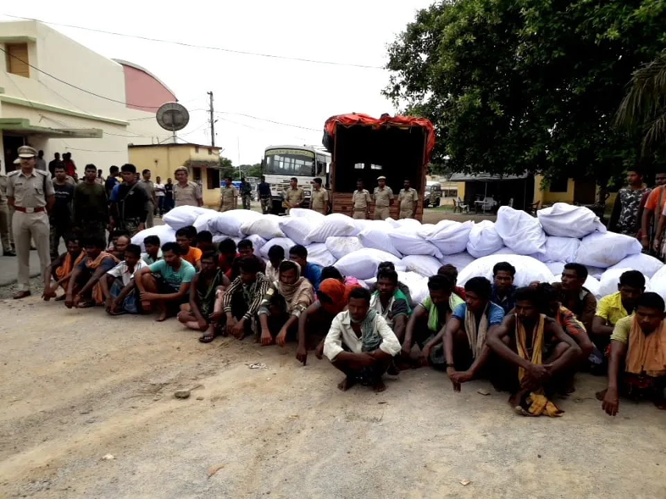  Ganja racket busted in Odisha; 3.3 tonne cannabis seized, 34 arrested   