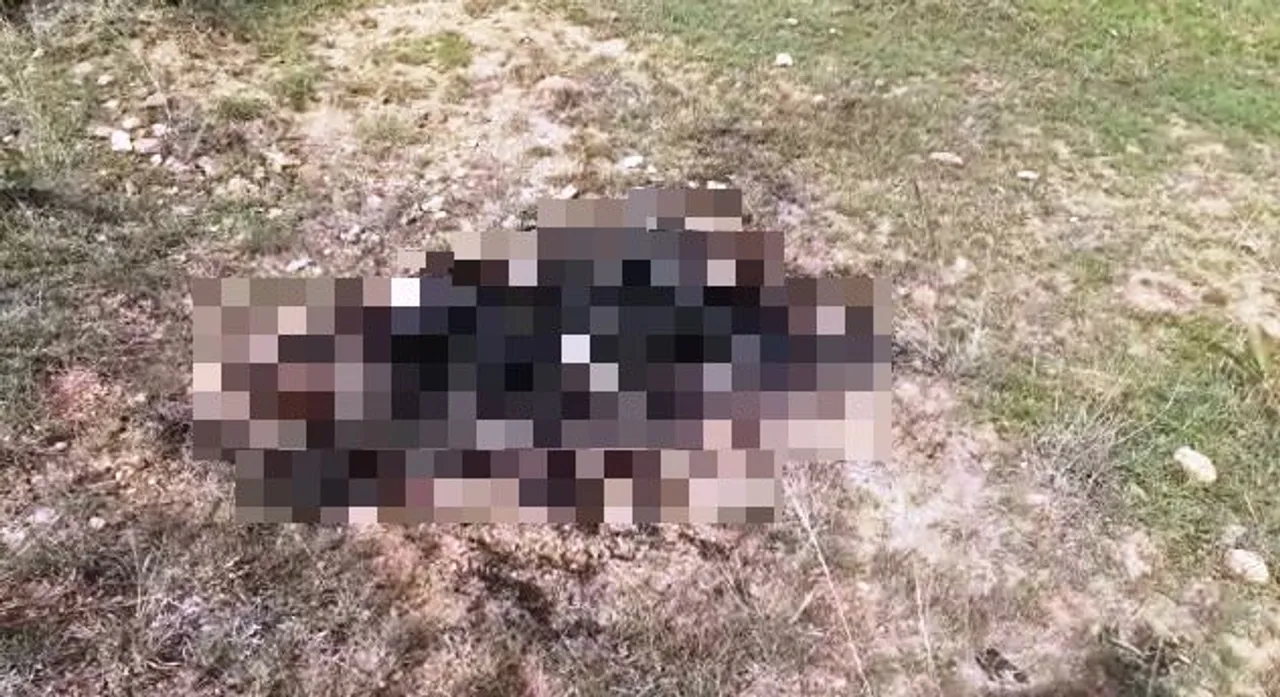  Woman burned to death by miscreants in Odisha's Sundargarh