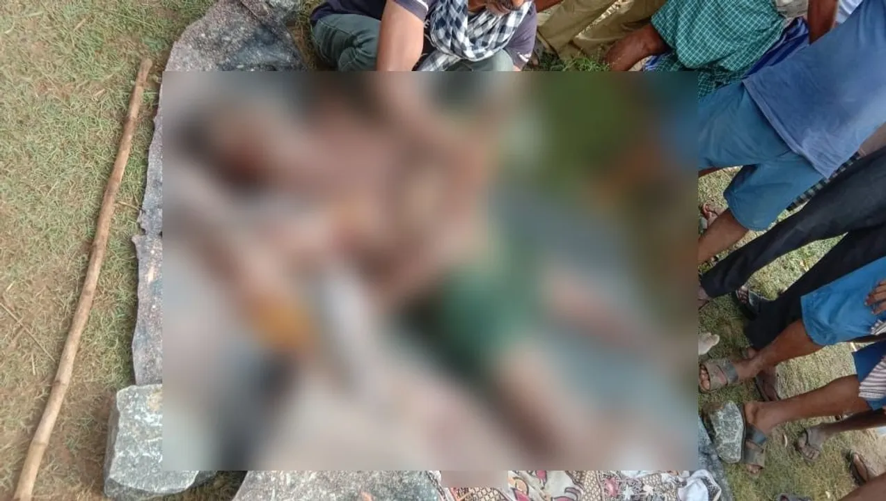  Crocodile attack: Body of missing Odisha man retrieved