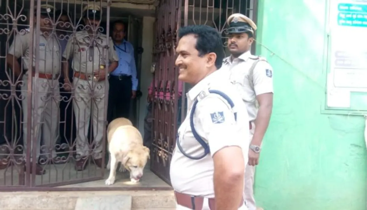  Security siren foils bank loot bid in Odisha