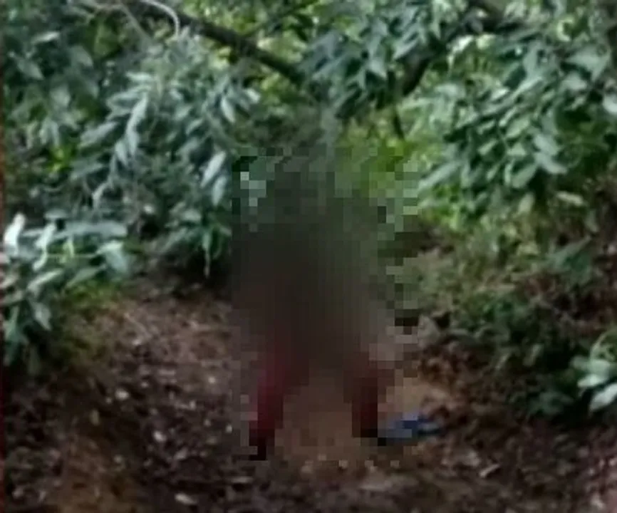  Missing girl student found dead in Odisha forest