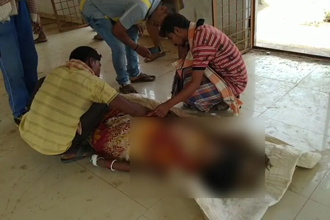  Mother-son duo dies of snakebite in Odisha