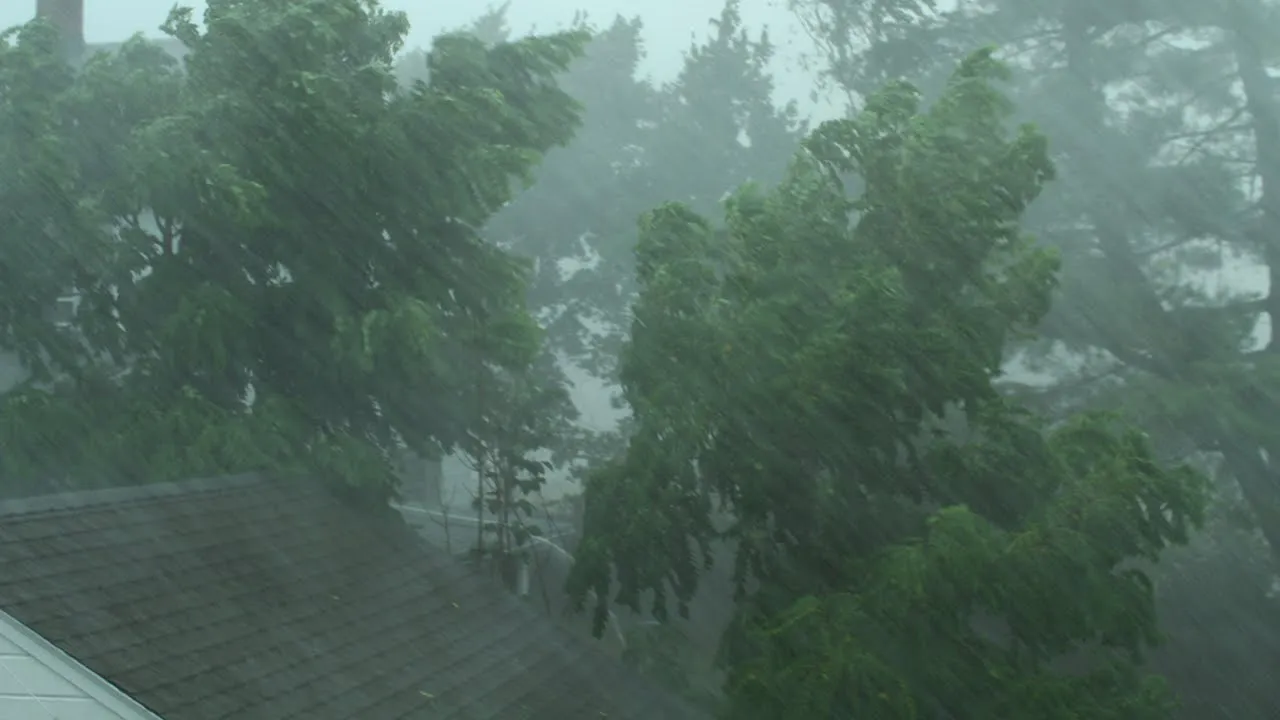  Afternoon weather forecast: Thunderstorm, rainfall in six Odisha dists