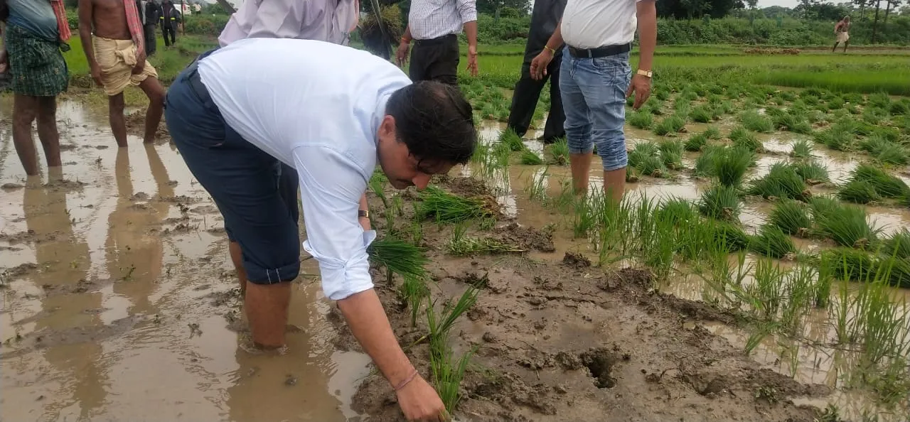  Watch: This Odisha collector dons farmer's hat