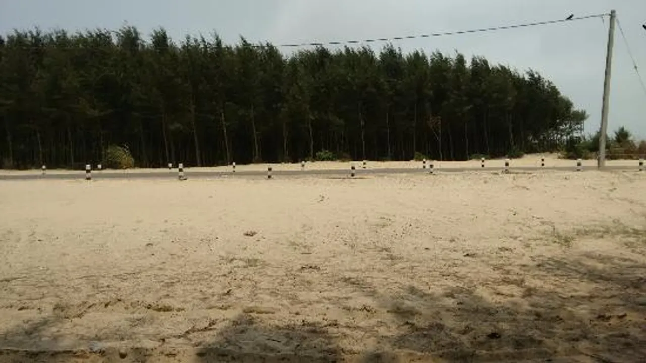  Youth, girl found hanging near beach in Odisha's Balasore