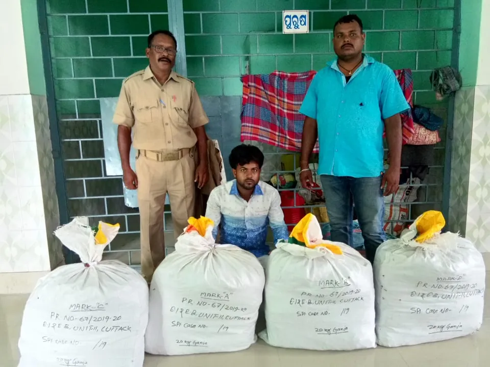  Odisha: Huge cache of ganja seized; 6 detained   