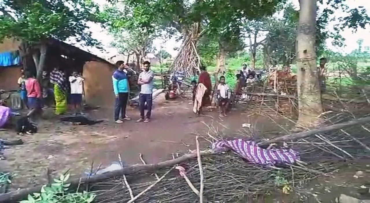  7-yr-old girl killed in elephant attack in Odisha, siblings critical