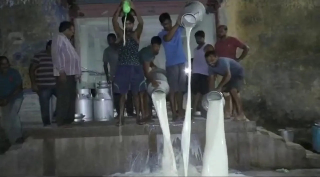  Odisha dairy farmers spill milk outside plant. Here's why