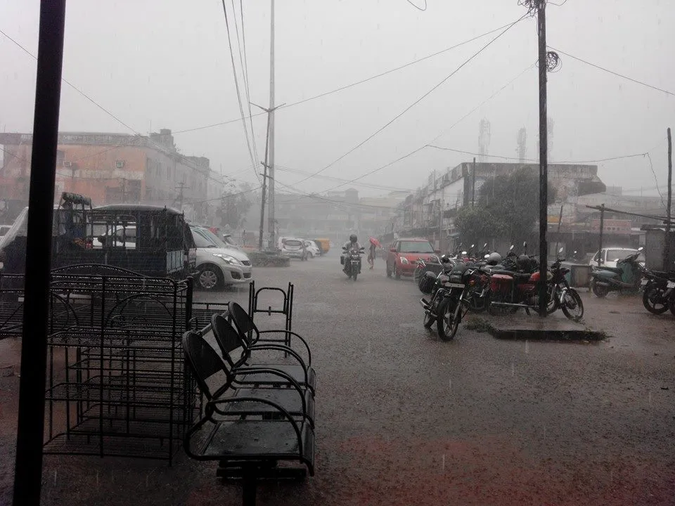  Low Pressure: Red & Orange warnings issued for these Odisha districts