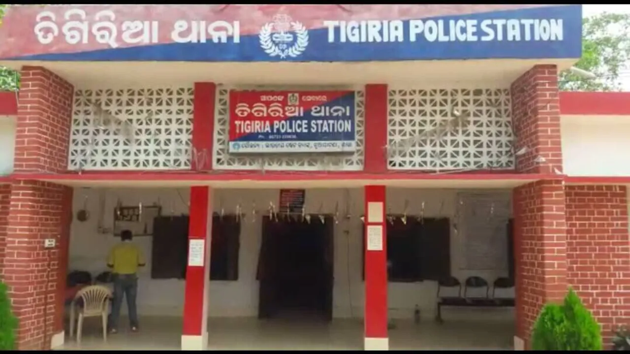  600 kg ganja seized in Odisha's Cuttack, woman detained