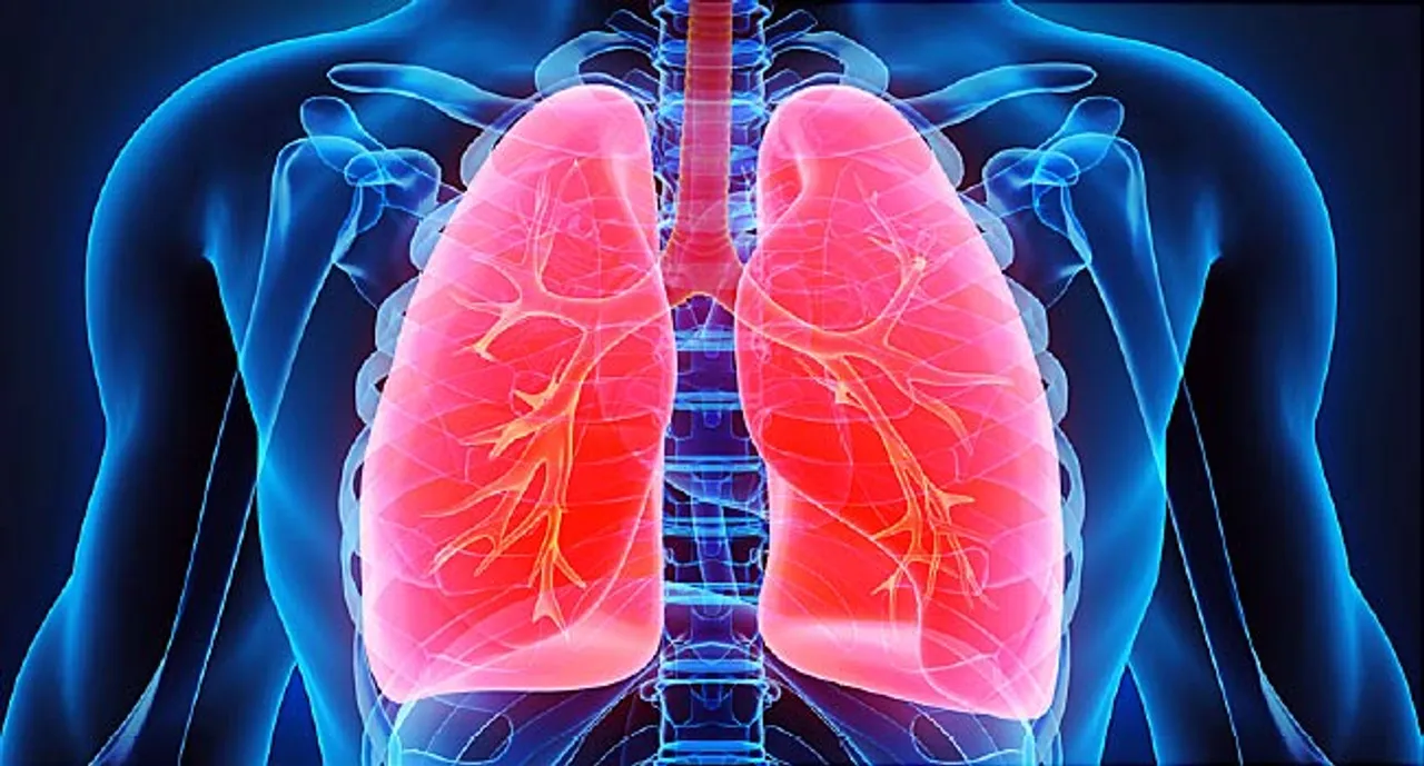  Most lungs recover well in 3 months after Covid: Study