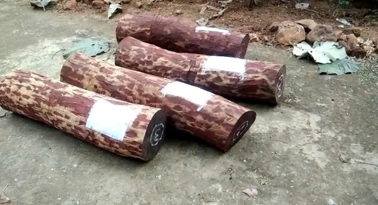  Huge cache of sandalwood seized, 2 Odisha smugglers held