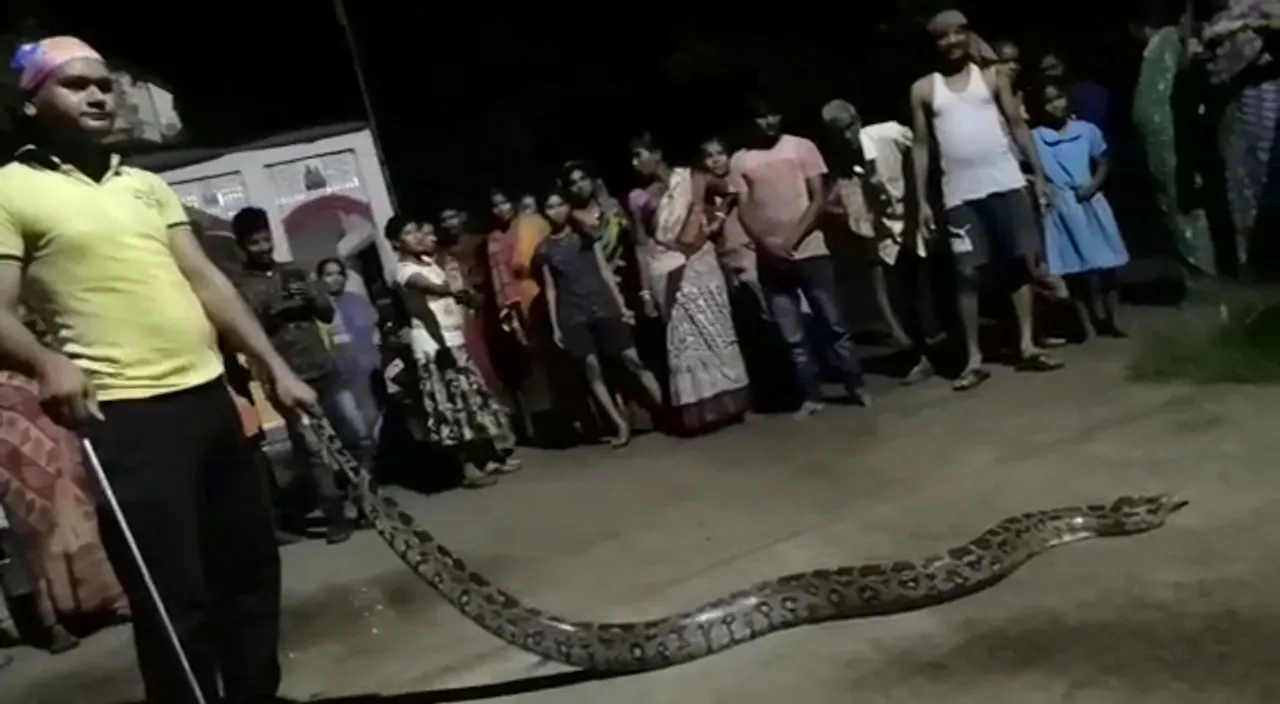  7-ft python rescued near school in Odisha's Jajpur