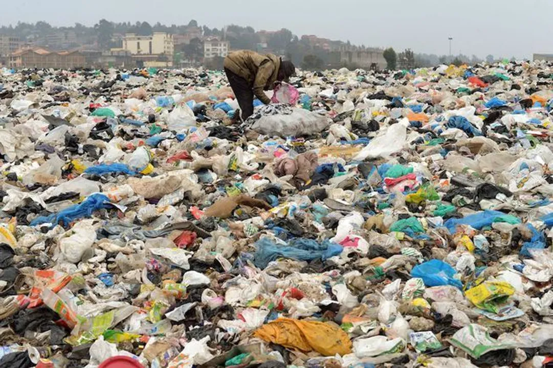  Tender process begins for 17 compost plants in Odisha capital