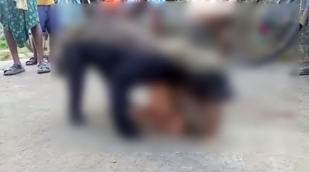  Wild bear beaten to death in Odisha; locals witness killing
